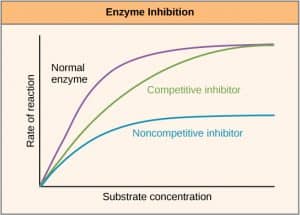 Enzyme Inhibition - Types of Inhibition - TeachMePhysiology