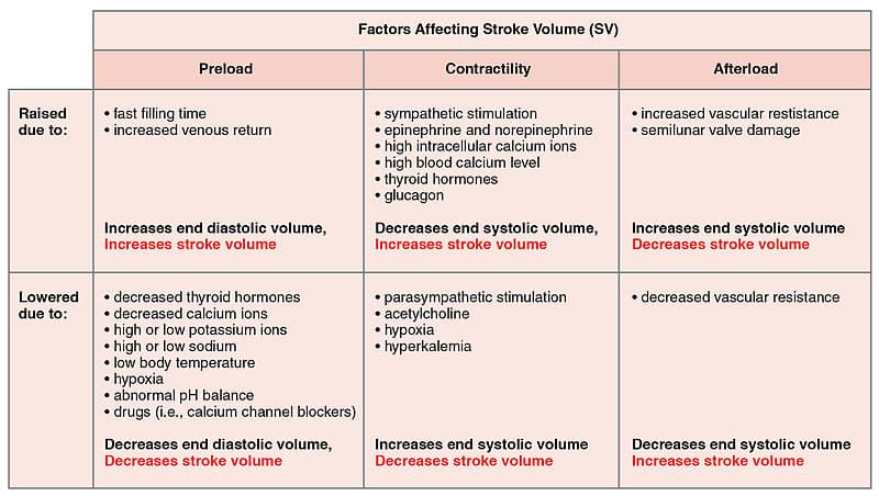 This is a table showing the factors that increase and decrease stroke volume