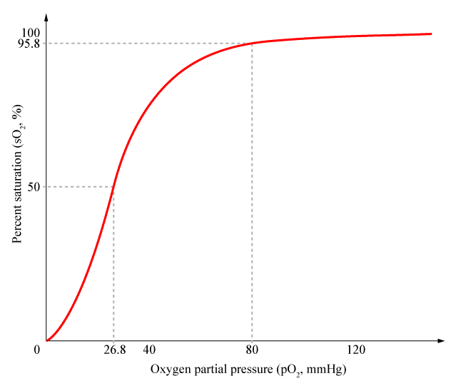 Carbon Dioxide Transport Flow Chart