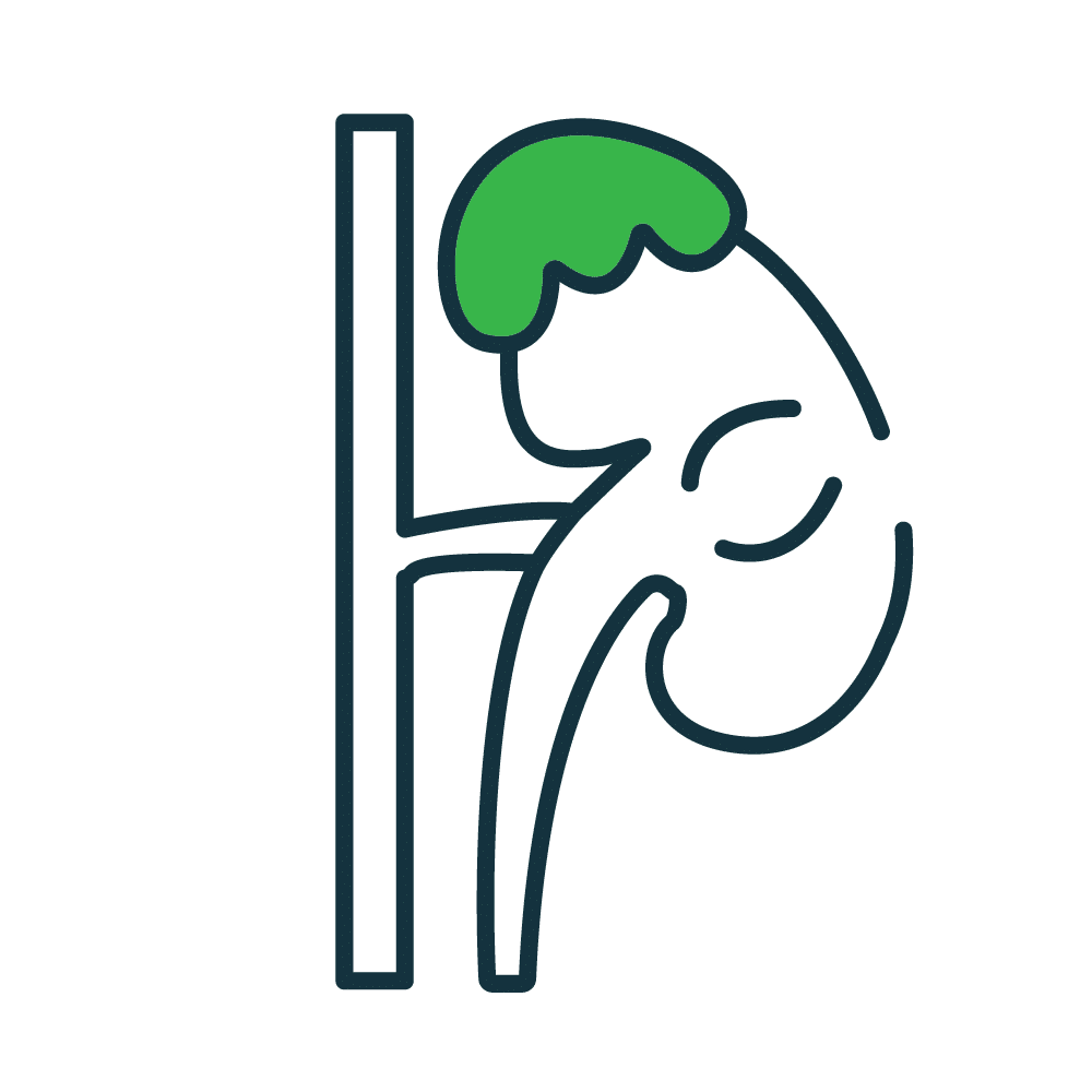 Adrenal Glands TeachMePhysiology