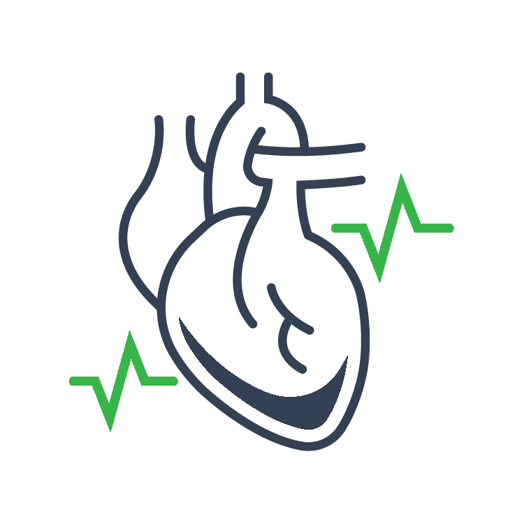 Cardiovascular System TeachMePhysiology