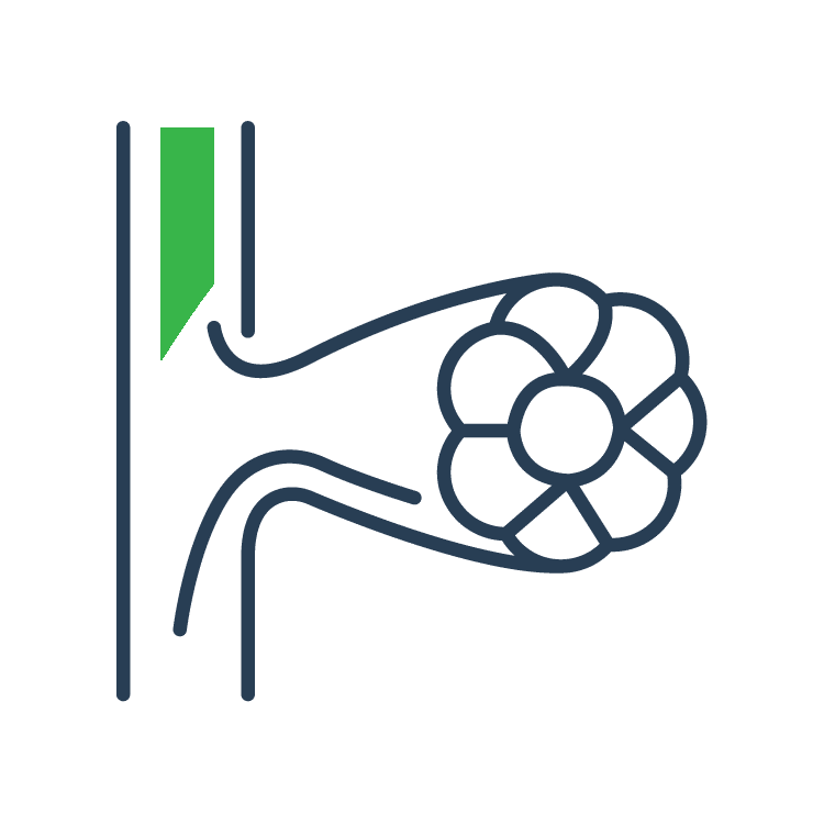 Histology TeachMePhysiology
