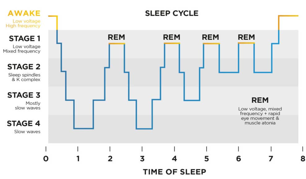 Consciousness and Sleep - REM - Stages of Sleep - TeachMePhysiology