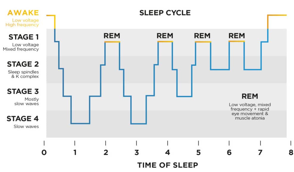 average rem sleep in 8 hours