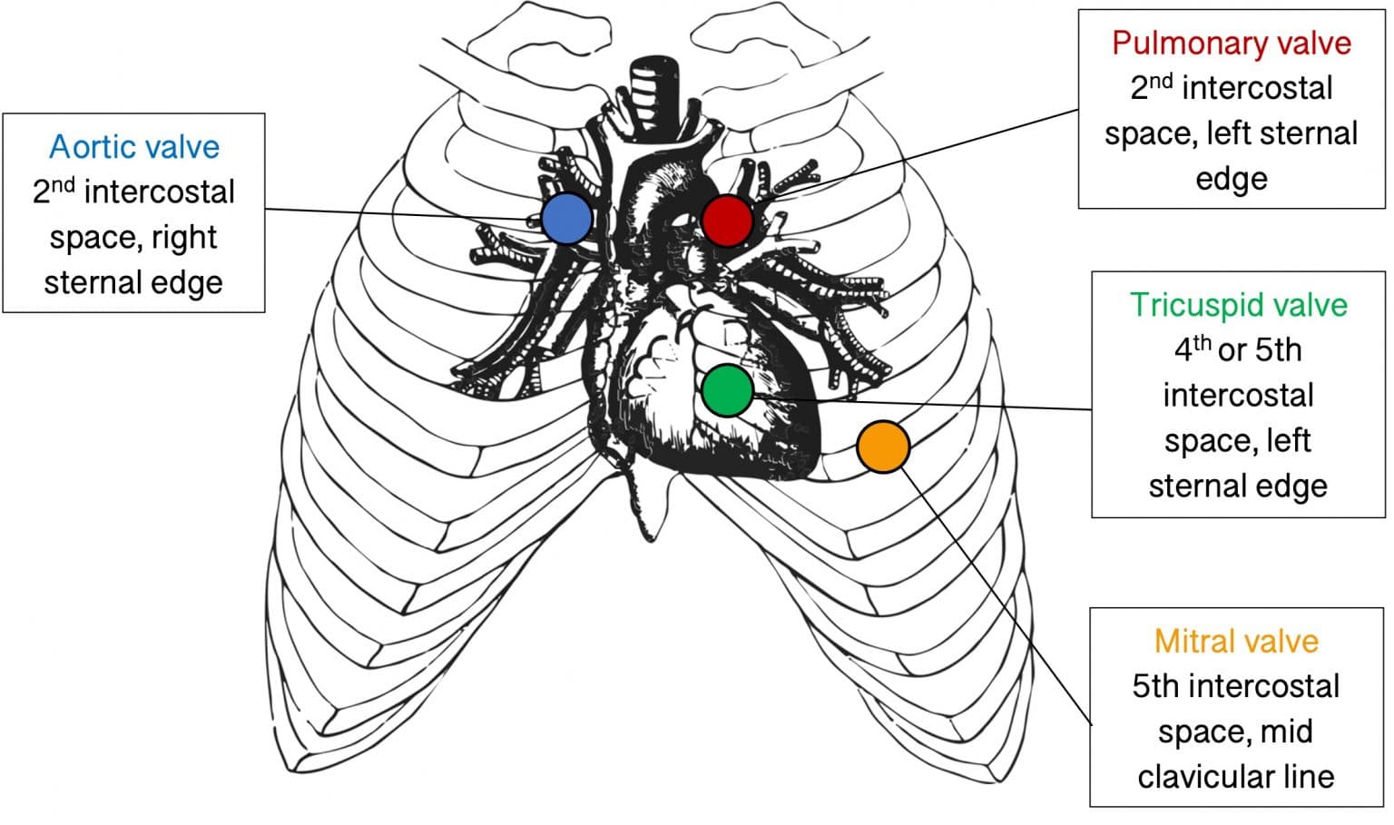 The Cardiac Cycle - Pressures In The Heart - TeachMePhysiology