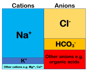 Diagram showing ion distributions in high anion gap