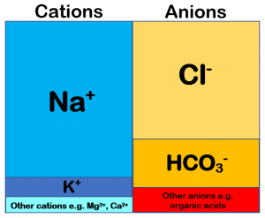 Diagram showing ion distributions in a normal anion gap