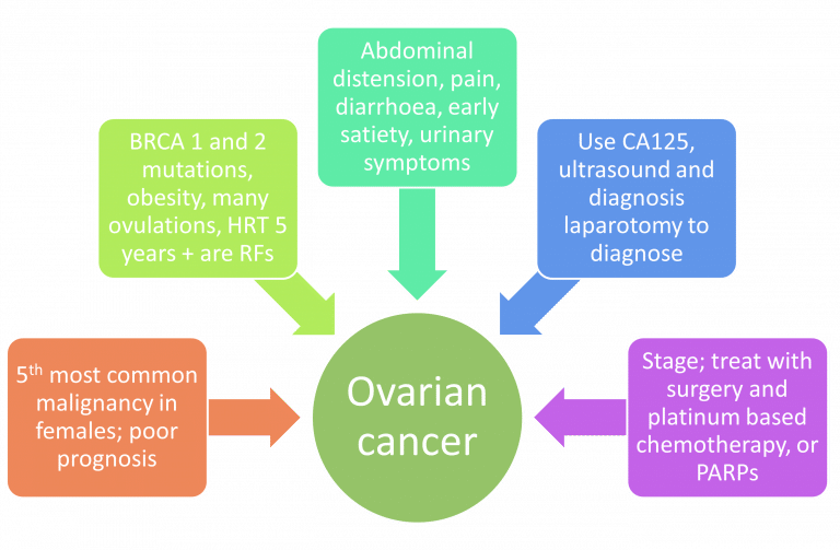 Menopause Changes Clinical Relevance TeachMePhysiology