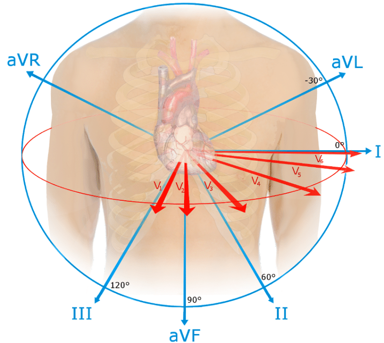 The ECG Cardiac Cycle TeachMePhysiology