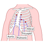 The Cardiac Cycle - Pressures in The Heart - TeachMePhysiology