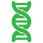Physiology Articles