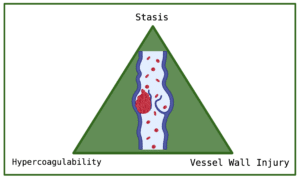 This imagine is of a triangle. At each of the three points are the three factors identified by Virchow that contribute to blood clot formation: stasis, a hyper-coagulable state, vessel wall injury. In the centre of the image is a vein with a clot. Clots are more likely to occur in veins. However, this is largely for decoration.